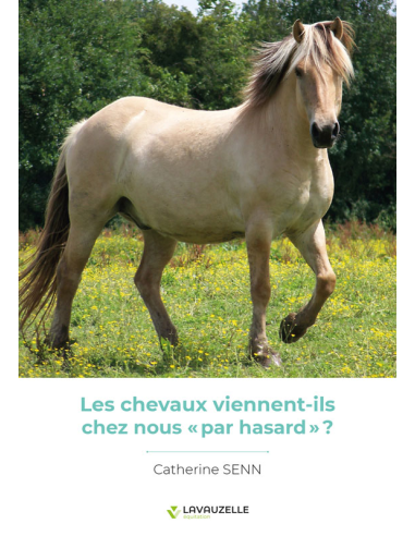 Les chevaux viennent-ils chez nous « par hasard » ?